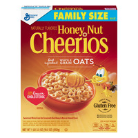 General Mills Cheerios Honey Nut Cereal Family Size (18.8 oz.)