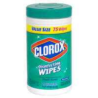 Clorox Disinfecting Wipes (75 count canister/scents vary)
